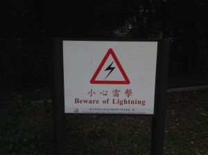 We should be safe as long as we don't play in the park during thunderstorms.