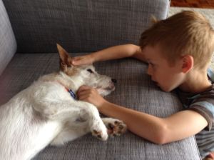 Bodhi & Jake got reacquainted in the living room of our new apartment in Tien Mu.