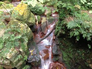 Throughout the mountains of Taiwan, small streams and waterfall abound.