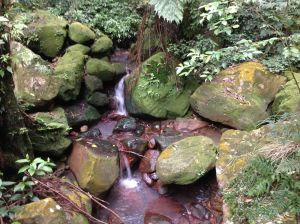 Another small waterfall.